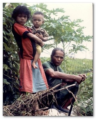 land_edition-contents.jpg