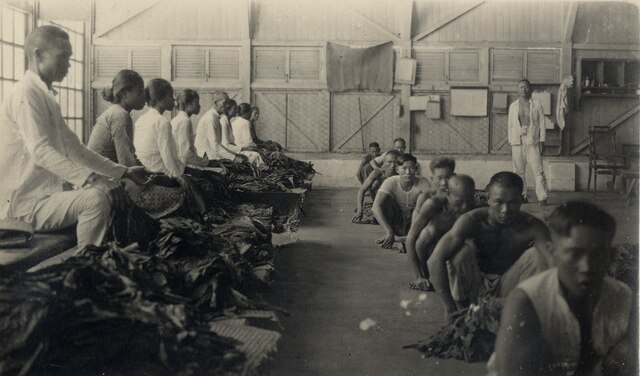 How America’s Tariff of 1930 helped end forced labour in the Dutch East Indies